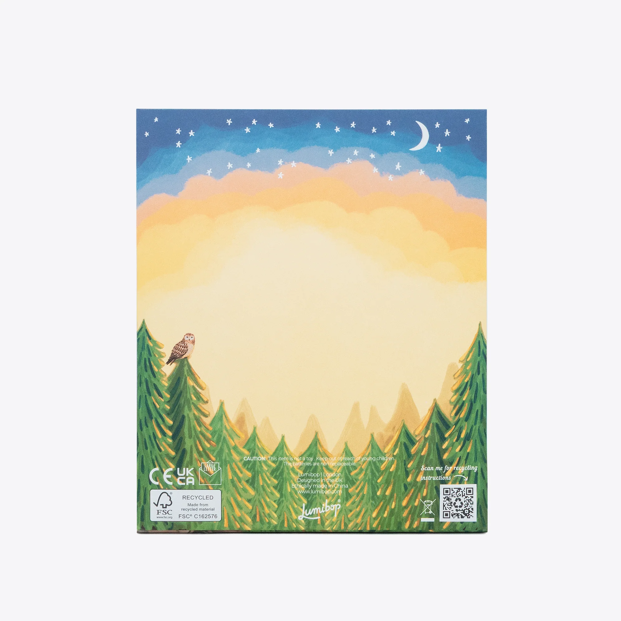 Camping Trip - Image 4